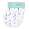 aden + anais 2pk Burpy Bib  - 2 of 3