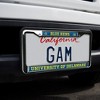 University of Delaware Blue Hens Logo Full Size Standard License Plate Metal Frame - 2 of 4