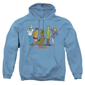 Scooby Doo Scooby Gang Adult Pull-Over Hoodie - 1 of 4