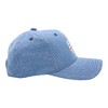 Funny St Patricks Day Hats Hilarous Novelty Graphic Caps - Crazy Dog - 3 of 4