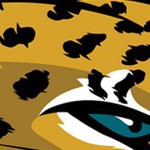 jacksonville jaguars