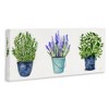 Stupell Industries Varied Potted Plants & Herbs, 48" x 20" - 3 of 4