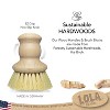 Lola Products The Original Tampico Vegetable Palm Brush w/Comfort Wood Knob, Sustainable Tampico Bristles, Renewable Birch Hardwood Handle, 1 Pack - 2 of 4