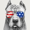 Junior's Design By Humans American Pitbull With Sunglasses By T-Shirt - 2 of 2