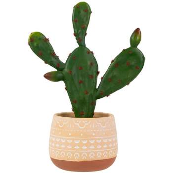 Allstate Floral 12.5 Green Flowering Column Cactus In A Ceramic Pot With  Flowers : Target