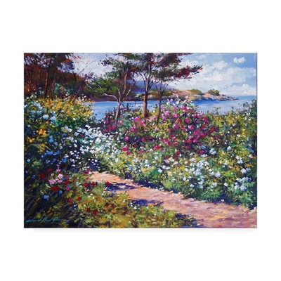 David Lloyd Glover 24" x 32" Colorful Floral Landscape Canvas Art