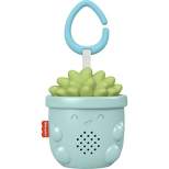 Fisher-Price Succulent Soother