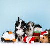 ZippyPaws Squeakie Buddies - No Stuffing Dog Toys for Small & Medium Dogs, Unstuffed Chew Toy, Soft Plush Puppy Products - Holiday Pack of 3 - 3 of 4