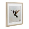Stupell Industries Hummingbird over Distressed Rustic Framed Print Under Glass Art, Brown, 13" x 13" - 2 of 4