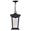 CWI Lighting Leawood 1 Light Black Outdoor Hanging Light - 3 of 4
