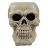 Northlight Halloween Skull Decoration - 11" - Ivory and Black - 3 of 4