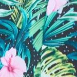 tropical garden border