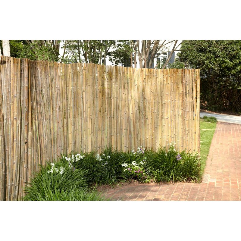 6&#39; x 16&#39; Unpeeled Reed Fence Natural - Gardenpath, 3 of 4