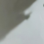 rustic brown and black