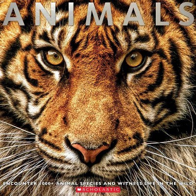 Animals - by  Scholastic (Paperback)