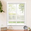 Chicology Light Filtering Vinyl Mini Curtain Blind - 2 of 4