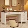 53.5" Executive Desk with 4 Drawers, Farmhouse Home Desk with Filing Cabinet, Wooden Computer Writing Desk for Study, Conference Table, White - 2 of 4