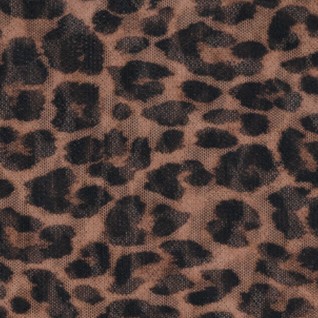 designer leo