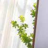 MAYEERTY Full Length Mirror 60X16.5 4th Gen Flower Pear Aluminum Frame Floor Wall Mounted for Bedroom - 4 of 4