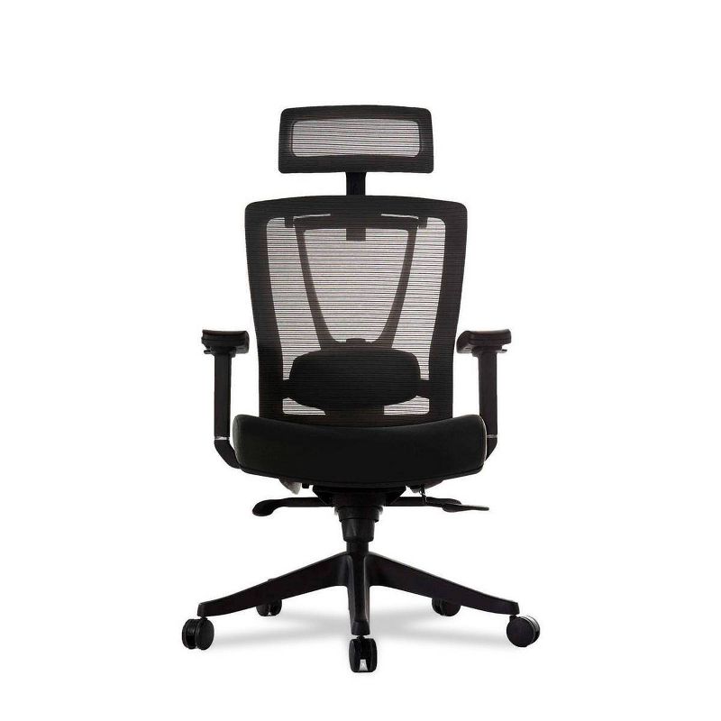 Premium Ergonomic Office Chair - Autonomous, 1 of 6