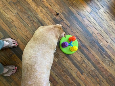 Spinning Hydrants Treat Puzzle