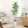 6ft Artificial Ficus Tree in Square Round Pot, Realistic Faux Indoor Plant, Tall Fake Tree for Home & Office Decor - 2 of 4
