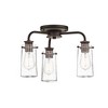 Braelyn 11.25" 3 Light Mini Convertible Chandelier or Semi Flush with Clear Seeded Glass Classic Pewter - 2 of 3