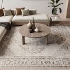 Nourison Washable Astra Vintage Persian Indoor Flatweave Area Rug - 4 of 4