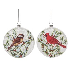 Transpac Glass 5.5 in. Multicolored Christmas Painted Winter Bird Ornament Set of 2 - 1 of 4