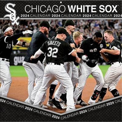 Chicago White Sox : Sports Fan Shop : Target