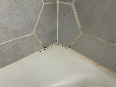 Guest review image 3 of 3, zoom in
