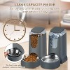 Automatic Pet Feeder and Water Dispenser Set, for Small Medium Dogs, Cats, Puppies, Kittens - 4 of 4