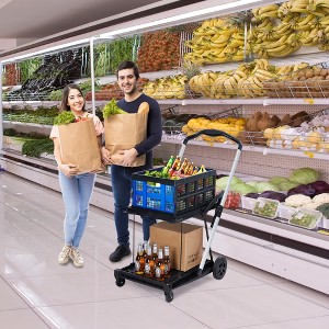 2 Tier Folding Shopping Carts for Groceries, 198 LB Capacity, Collapsible Portable Grocery Cart with Wheels & Removable Crate for Mall Market, Blue - 1 of 4