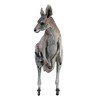 Design Toscano Australian Outback Kangaroo Statue - 4 of 4
