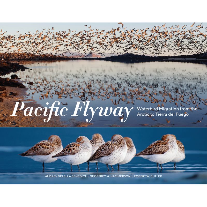 Pacific Flyway - by  Audrey Delella Benedict & Geoffrey A Hammerson & Robert W Butler (Paperback), 1 of 2