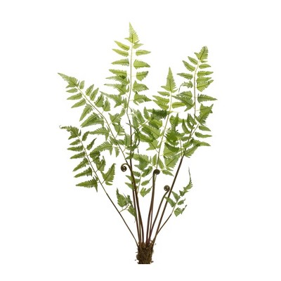 Melrose Varigated Fern Bundle (Set of 6)