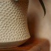 LiveTrends Earthbound Ceramic Indoor Novelty Planter Beige 6.5"x6.5"x5.5" - 3 of 4