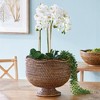 Plum & Post Burma Rattan Footed Cachepot Planter - 2 of 4