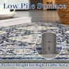 5x7 Rug Living Room Rug Washable Boho Area Rug Non Slip Low Pile Distressed Vintage Medal Floral Rugs for Living Room Bedroom Dining Room ,Gray Blue - 4 of 4