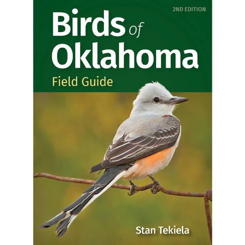 Birds Of Oklahoma Field Guide - (bird Identification Guides) 2nd ...