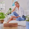 Garden Republic Bonsai Garden Grow Kit - 3 of 4