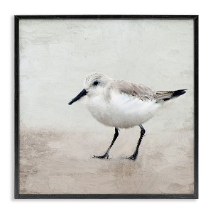 Stupell Industries Lone Sandpiper Bird Portrait Framed Giclee Art - 1 of 4