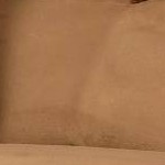 Peat Suede