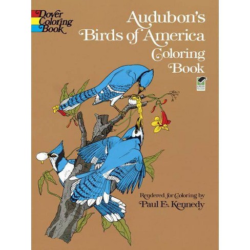 Download Audubon S Birds Of America Coloring Book Dover Nature Coloring Book By John James Audubon Paperback Target