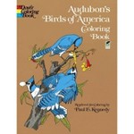 Peterson Field Guide Coloring Books Birds Peterson Field Guide Color In Books By Peter Alden Roger Tory Peterson Mixed Media Product Target