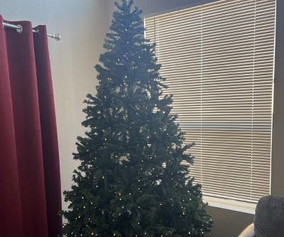 Guest review image 1 of 1, zoom in