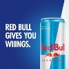 Red Bull Sugar Free Energy Drink - 16 fl oz Can - 4 of 4