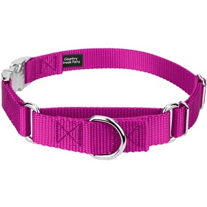 Country Brook Petz Heavyduty Nylon Martingale with Premium Buckle - 1 of 4