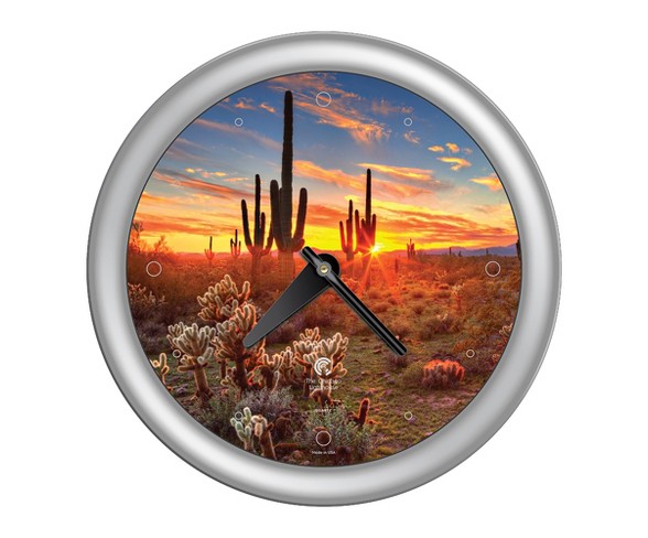 Chicago Lighthouse 14"x14" Southwest Cactus Designer Frame Decorative Wall Clocks Silver