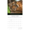2026 Square Wall Calendar, Save the Planet, 16-Month Natural World Theme with 180 Reminder Stickers (12x12 In) - 3 of 4